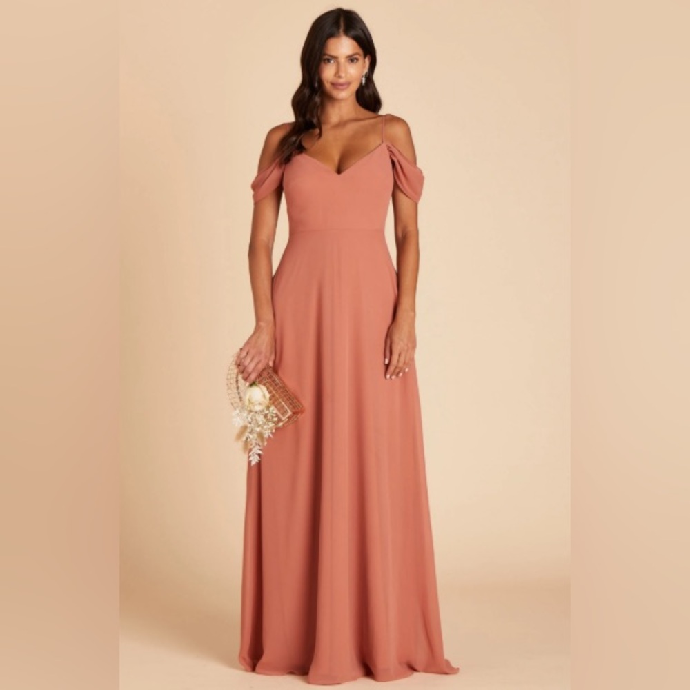 Birdy Grey Devin Chiffon Terracotta Dress SMALL